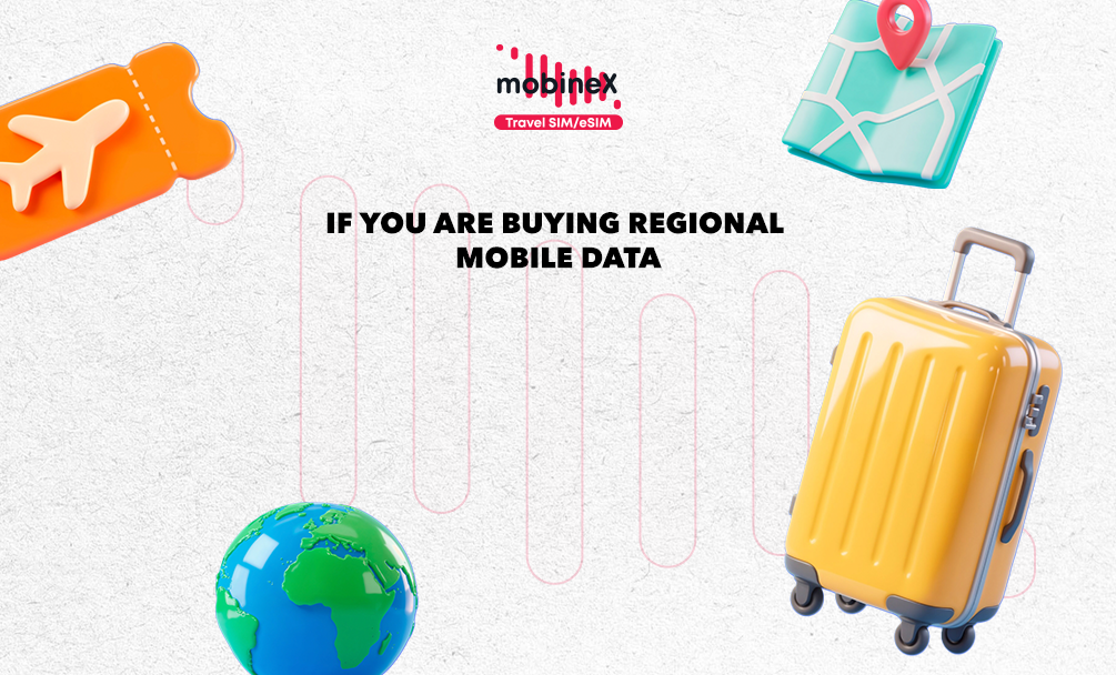 What to Consider When Purchasing a mobineX Regional Internet Package